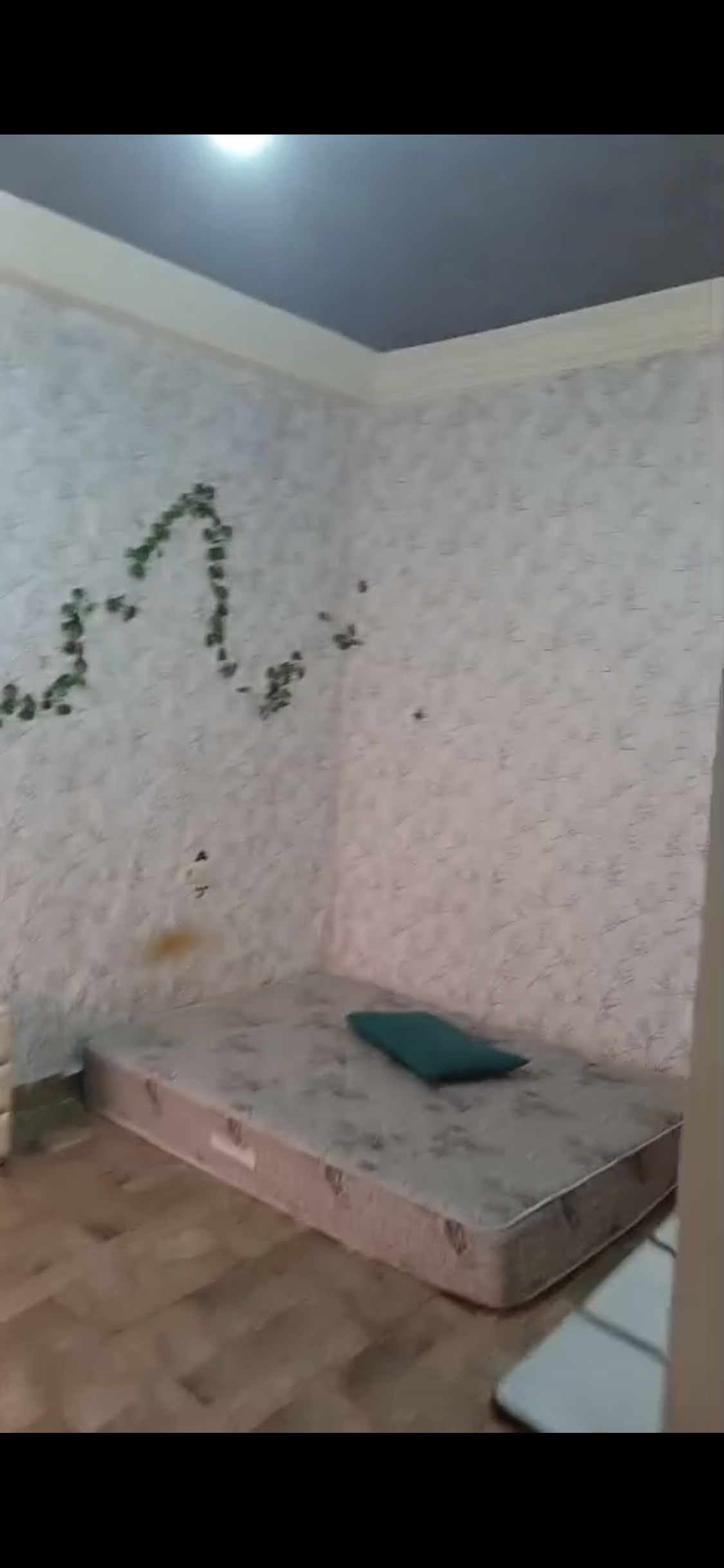 CHAMBRE DISPONIBLE - SANS FRAIS D'AGENCE