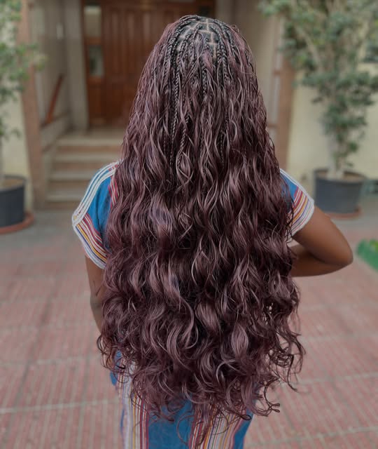 Livs_braids